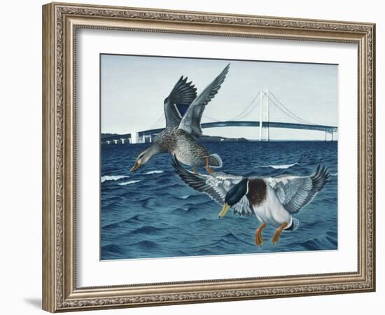 Mackinac Mallards-Rusty Frentner-Framed Giclee Print