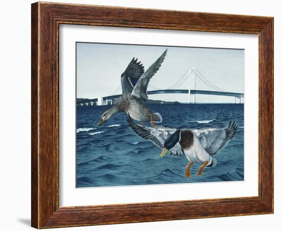 Mackinac Mallards-Rusty Frentner-Framed Giclee Print