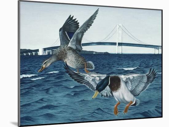 Mackinac Mallards-Rusty Frentner-Mounted Giclee Print