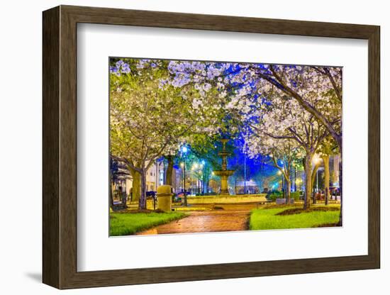Macon, Georgia, USA Downtown with Spring Cherry Blossoms at 3Rd Street Park.-SeanPavonePhoto-Framed Photographic Print