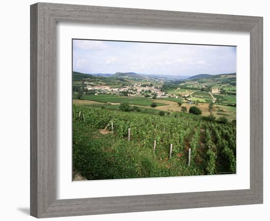 Maconnais Vineyards, Poilly Fuisse, Near Macon, Saone-Et-Loire, Burgundy, France-David Hughes-Framed Photographic Print