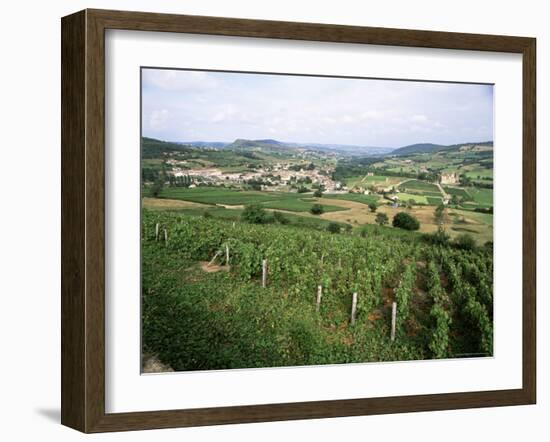 Maconnais Vineyards, Poilly Fuisse, Near Macon, Saone-Et-Loire, Burgundy, France-David Hughes-Framed Photographic Print