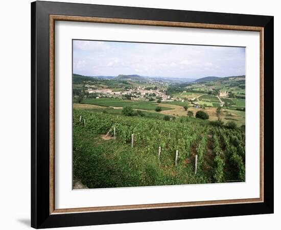 Maconnais Vineyards, Poilly Fuisse, Near Macon, Saone-Et-Loire, Burgundy, France-David Hughes-Framed Photographic Print