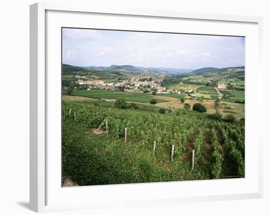 Maconnais Vineyards, Poilly Fuisse, Near Macon, Saone-Et-Loire, Burgundy, France-David Hughes-Framed Photographic Print