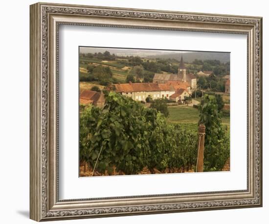 Maconnais Vineyards, Poilly Fuisse, Ozenay, Near Macon, Saone-Et-Loire, Burgundy, France-David Hughes-Framed Photographic Print