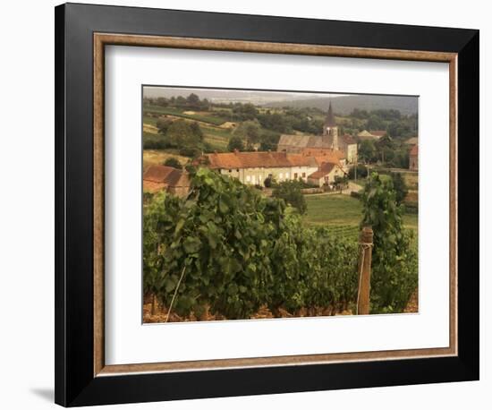 Maconnais Vineyards, Poilly Fuisse, Ozenay, Near Macon, Saone-Et-Loire, Burgundy, France-David Hughes-Framed Photographic Print