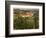 Maconnais Vineyards, Poilly Fuisse, Ozenay, Near Macon, Saone-Et-Loire, Burgundy, France-David Hughes-Framed Photographic Print