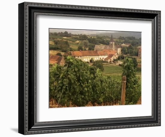 Maconnais Vineyards, Poilly Fuisse, Ozenay, Near Macon, Saone-Et-Loire, Burgundy, France-David Hughes-Framed Photographic Print