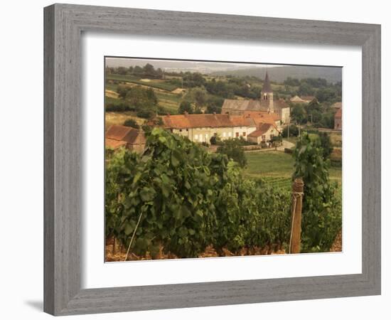 Maconnais Vineyards, Poilly Fuisse, Ozenay, Near Macon, Saone-Et-Loire, Burgundy, France-David Hughes-Framed Photographic Print