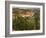 Maconnais Vineyards, Poilly Fuisse, Ozenay, Near Macon, Saone-Et-Loire, Burgundy, France-David Hughes-Framed Photographic Print