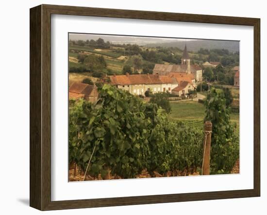 Maconnais Vineyards, Poilly Fuisse, Ozenay, Near Macon, Saone-Et-Loire, Burgundy, France-David Hughes-Framed Photographic Print