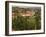 Maconnais Vineyards, Poilly Fuisse, Ozenay, Near Macon, Saone-Et-Loire, Burgundy, France-David Hughes-Framed Photographic Print