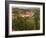 Maconnais Vineyards, Poilly Fuisse, Ozenay, Near Macon, Saone-Et-Loire, Burgundy, France-David Hughes-Framed Photographic Print