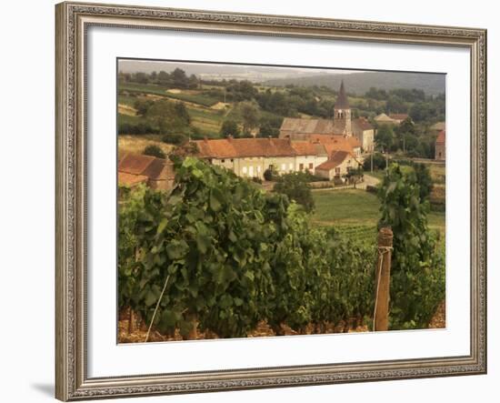 Maconnais Vineyards, Poilly Fuisse, Ozenay, Near Macon, Saone-Et-Loire, Burgundy, France-David Hughes-Framed Photographic Print