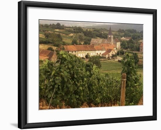 Maconnais Vineyards, Poilly Fuisse, Ozenay, Near Macon, Saone-Et-Loire, Burgundy, France-David Hughes-Framed Photographic Print