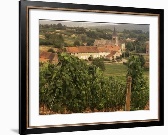 Maconnais Vineyards, Poilly Fuisse, Ozenay, Near Macon, Saone-Et-Loire, Burgundy, France-David Hughes-Framed Photographic Print