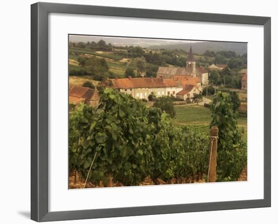 Maconnais Vineyards, Poilly Fuisse, Ozenay, Near Macon, Saone-Et-Loire, Burgundy, France-David Hughes-Framed Photographic Print