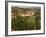 Maconnais Vineyards, Poilly Fuisse, Ozenay, Near Macon, Saone-Et-Loire, Burgundy, France-David Hughes-Framed Photographic Print