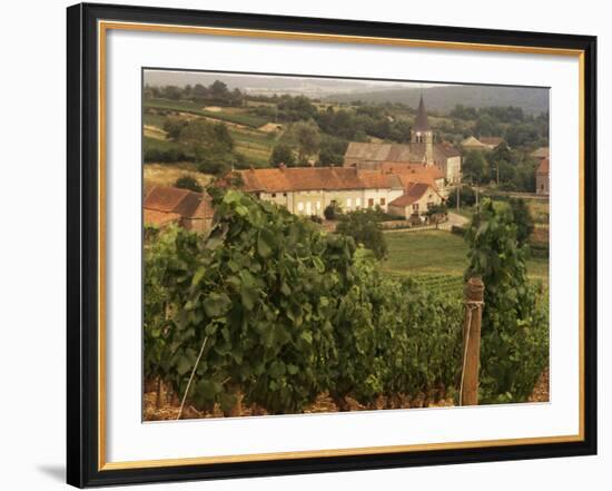 Maconnais Vineyards, Poilly Fuisse, Ozenay, Near Macon, Saone-Et-Loire, Burgundy, France-David Hughes-Framed Photographic Print