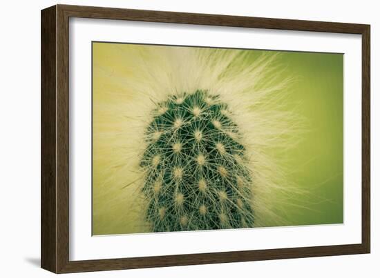 Macro Cactus-MXCLOUTI-Framed Photographic Print