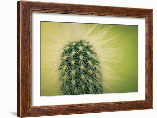 Macro Cactus-MXCLOUTI-Framed Photographic Print