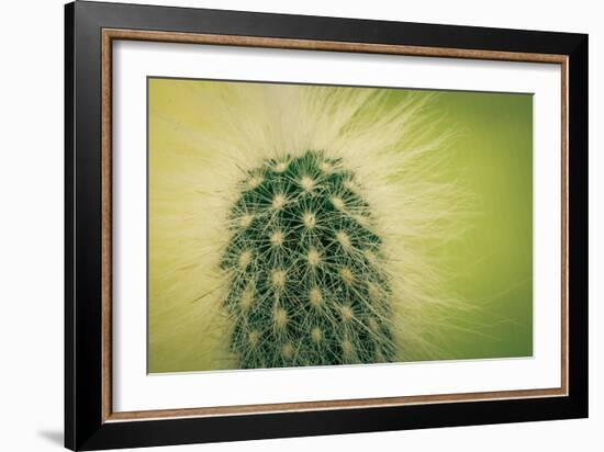 Macro Cactus-MXCLOUTI-Framed Photographic Print