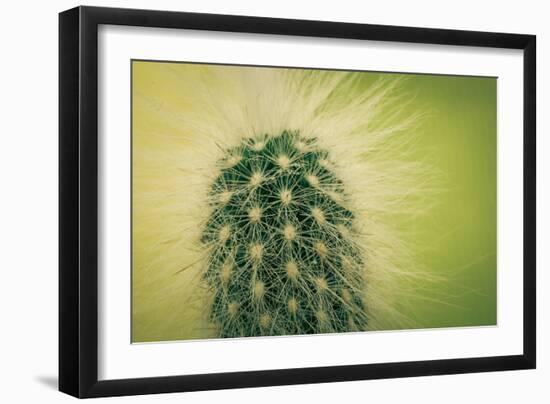 Macro Cactus-MXCLOUTI-Framed Photographic Print