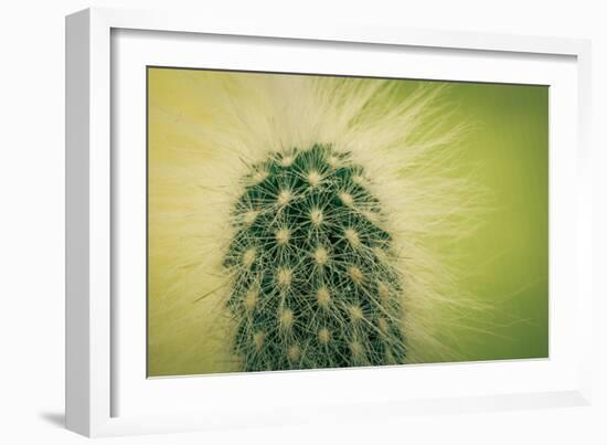 Macro Cactus-MXCLOUTI-Framed Photographic Print