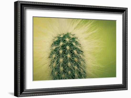 Macro Cactus-MXCLOUTI-Framed Photographic Print