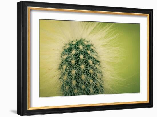 Macro Cactus-MXCLOUTI-Framed Photographic Print