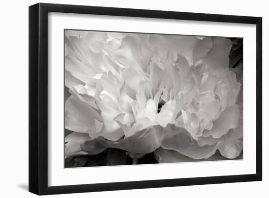 Macro Flower II-Brian Moore-Framed Photographic Print