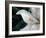 Macro Lily-Jim Christensen-Framed Photographic Print