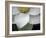 Macro Lotus-Jim Christensen-Framed Photographic Print