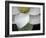 Macro Lotus-Jim Christensen-Framed Photographic Print