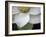 Macro Lotus-Jim Christensen-Framed Photographic Print