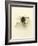 Macro Lure III-Judy Stalus-Framed Art Print