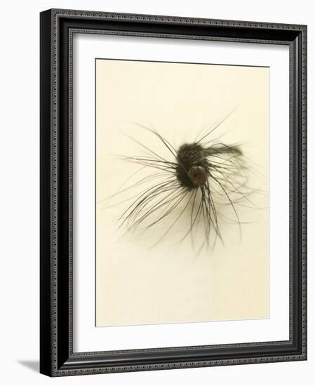 Macro Lure III-Judy Stalus-Framed Art Print