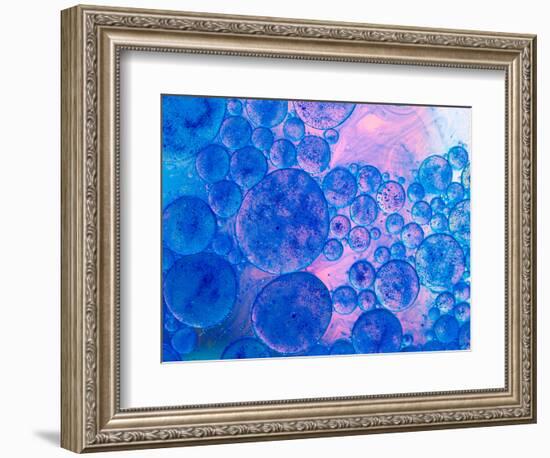 Macro of Oil Drops and Pigment on Water Surface with Bright Background-Abstract Oil Work-Framed Photographic Print