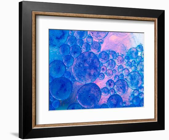 Macro of Oil Drops and Pigment on Water Surface with Bright Background-Abstract Oil Work-Framed Photographic Print