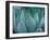 Macro of Succulent Plant in the Desert-kenny001-Framed Photographic Print