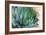 Macro of Succulent Plant in the Desert-kenny001-Framed Photographic Print