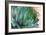 Macro of Succulent Plant in the Desert-kenny001-Framed Photographic Print