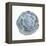 Macro of Succulent Plant-kenny001-Framed Premier Image Canvas