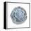 Macro of Succulent Plant-kenny001-Framed Premier Image Canvas