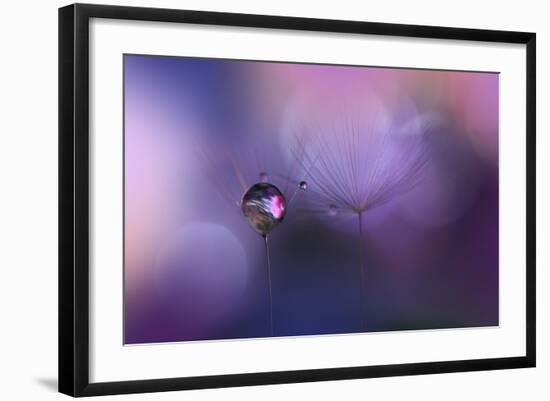 Photo, , large