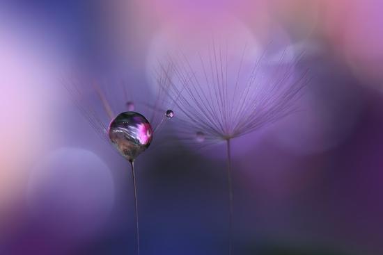 Photo, , large