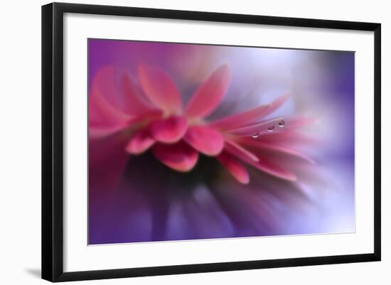 Photo, , large
