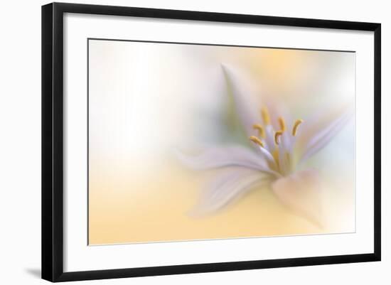 Photo, , large