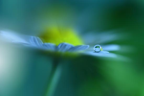 Photo, , large