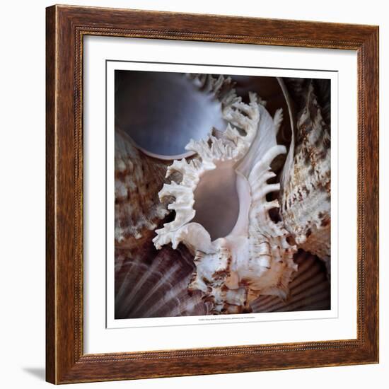 Macro Shells II-Rachel Perry-Framed Art Print